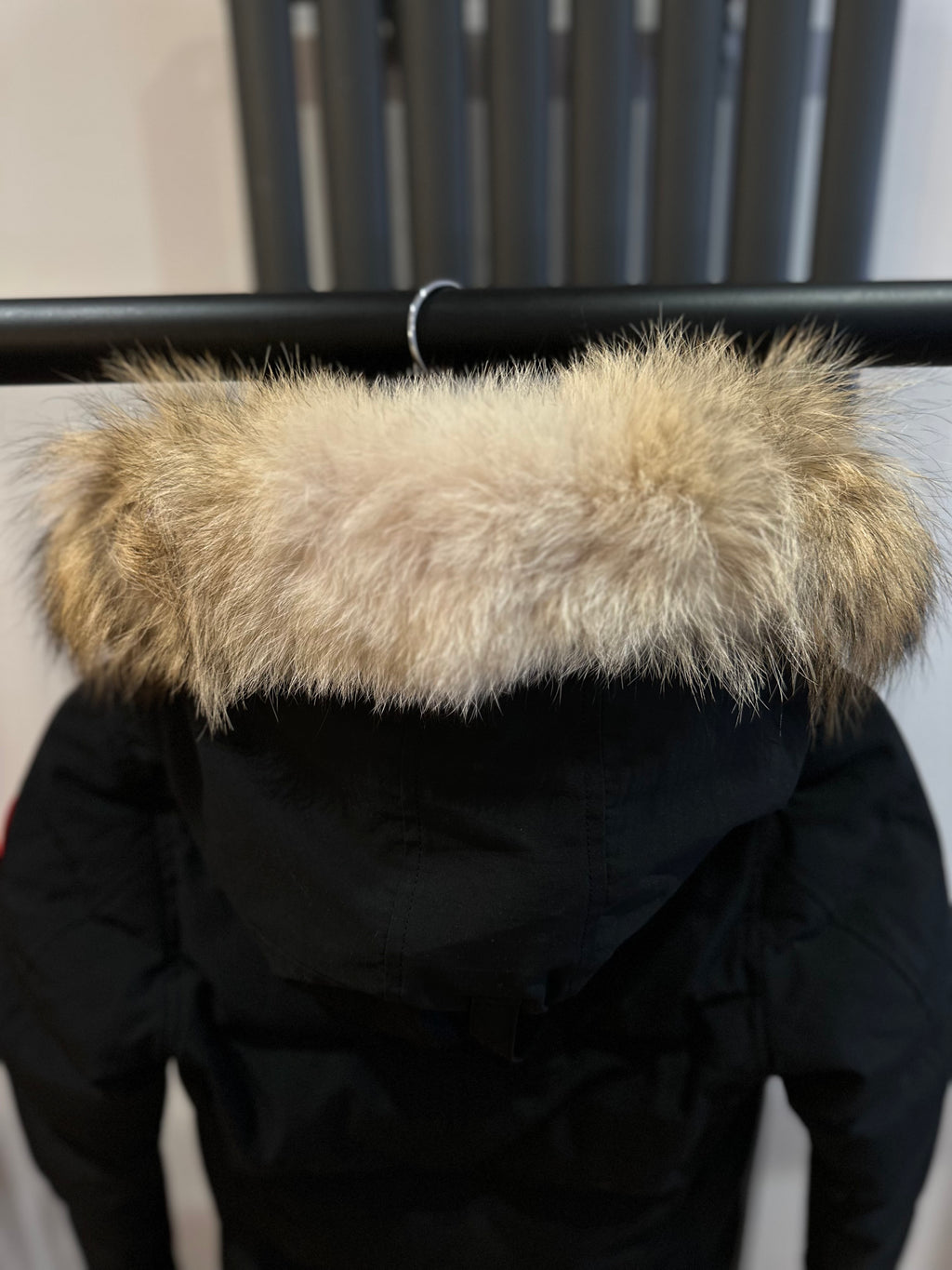 CG Women’s Shelburne Size S