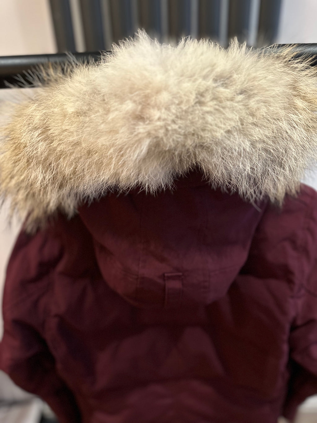 CG Women’s Shelburne Size L